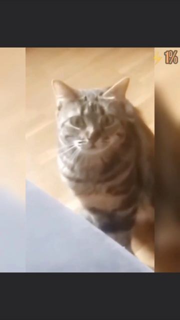 топ олдовский мемасик