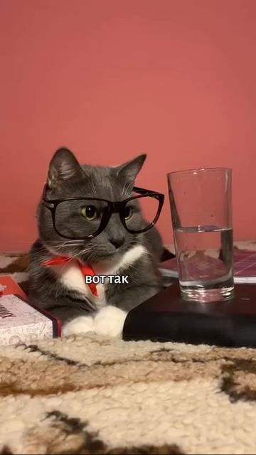 ЕСЛИ БЫ КОТИКИ ХОДИЛИ В ШКОЛУ - ХИМИЯ