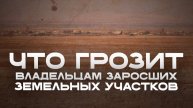 Скосил траву – спас край от огня и себя от штрафа