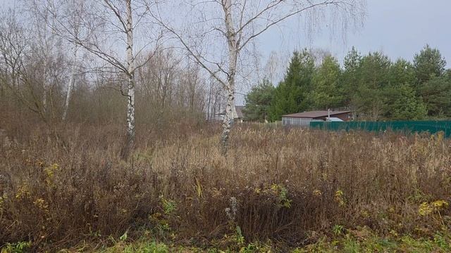 З/у с к.н. 50:28:0090101:702, расположенный по адресу: МО, г. Домодедово, д. Борисово