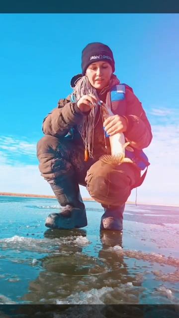 По первому льду и первые щуки на жерлицы.