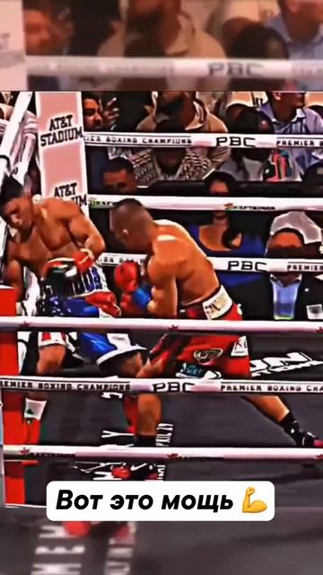 Это был отличный боксер, но сейчас…
