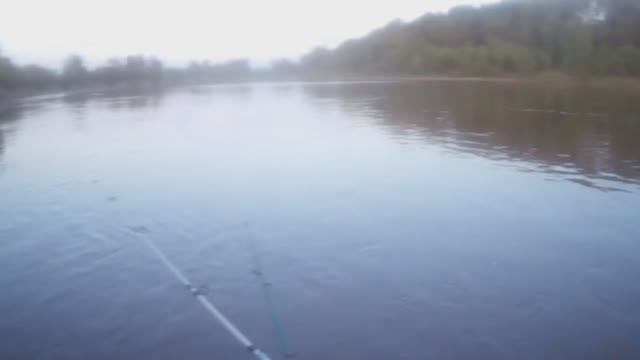 РЫБАЛКА на ДОННЫЕ и МАХОВЫЕ СНАСТИ на НАЛИМА и ГАЛЬЯНА. 2025!!!