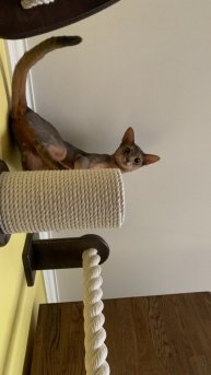 Новая неделя и новые приятные впечатления