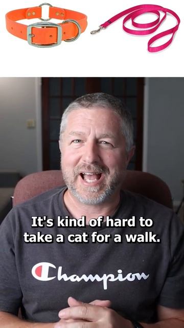 Short English Vocabulary