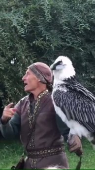 VID_20251117_150836_349.mp4