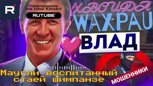 ВЛАД - Маугли воспитанный стаей шимпанзе