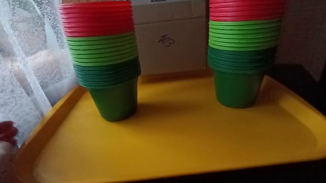 Купила красивые горшочки для рассады