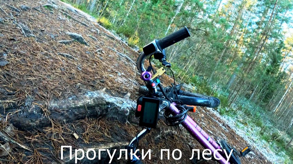 Заканчиваю и прогулки и поездки на велосипеде.