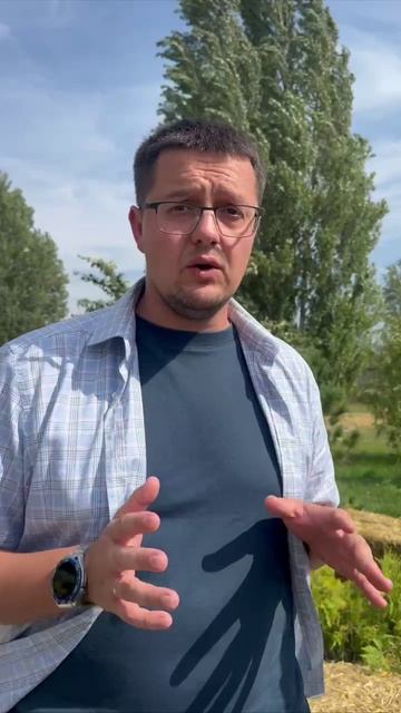 Топ сортов винограда для производства вина