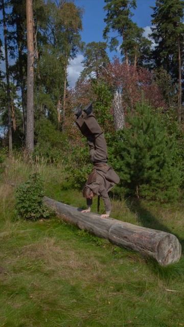 Держу бревно, упираясь в небо ногами...