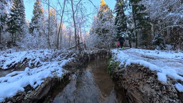 МУД 16.11.2025 Красногорск
