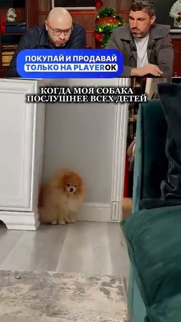 Сел быстро в угол))))