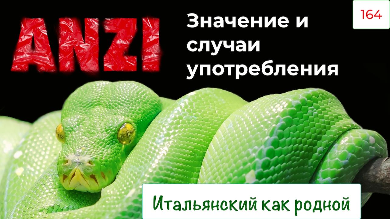 Без ANZI в итальянском никак нельзя – 164