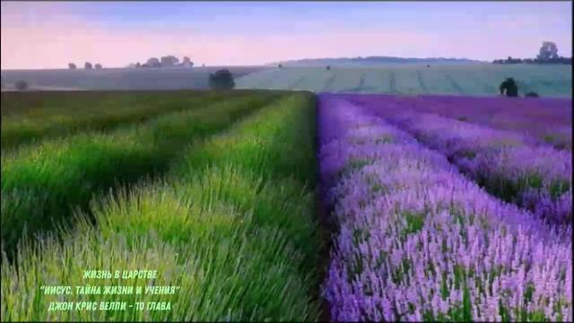 "Иисус. Тайна жизни и учения" / Джон Крис Велли / 10 глава