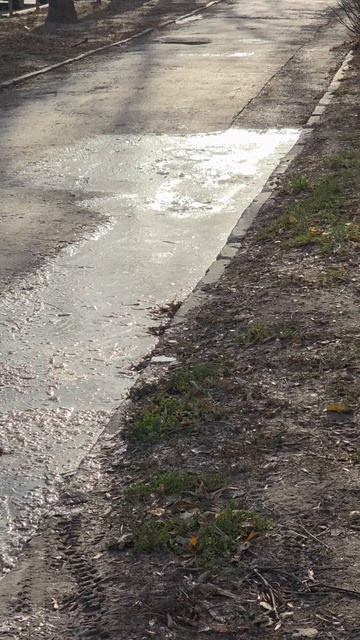 Задумывались о том, сколько раз вы уже видели наступление зимы и сколько из них вы помните?