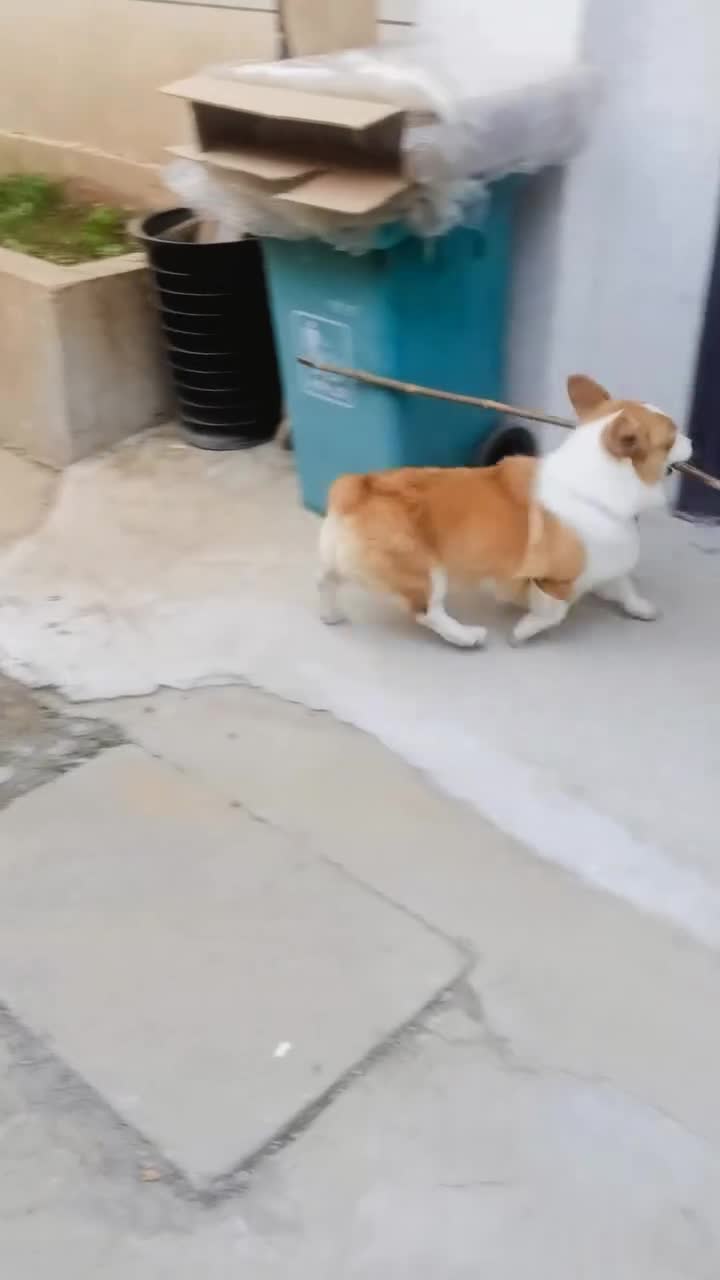 for #FunnyMoments #Jokes tags #Trendy