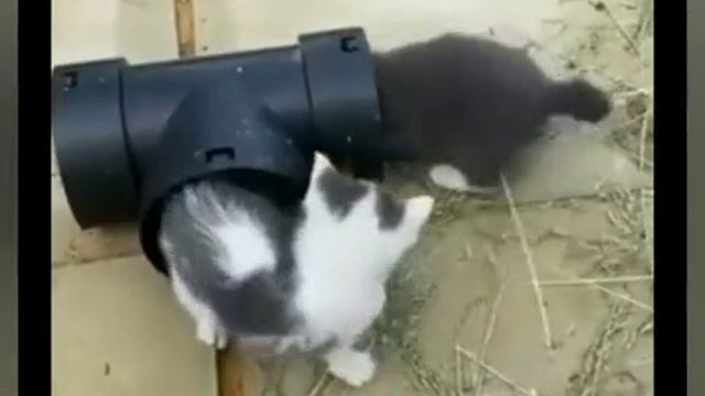 9f73e989-223f-4594-b14c-cd7fe014b918-1_all_298.mp4