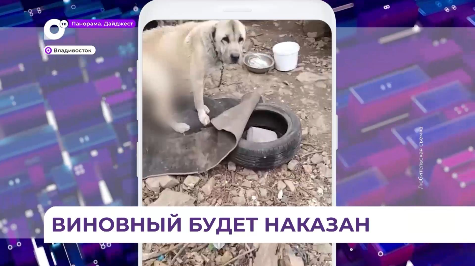 Прокуратура возбудила уголовное дело после сюжета ОТВ о жестоком обращении с животными