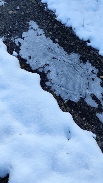 Зима пришла замерзли лужи Детский восторг