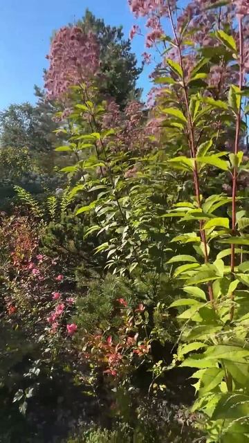 Прогулка по объекту