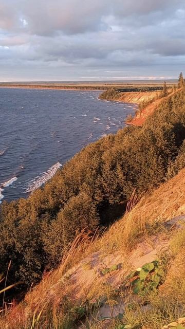 Осень стихи Ольги Синар