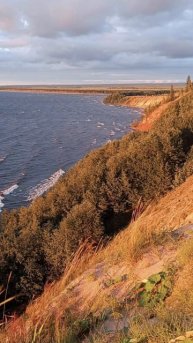 Осень стихи Ольги Синар