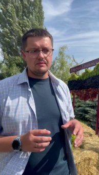 Топ самых морозостойких сортов винограда