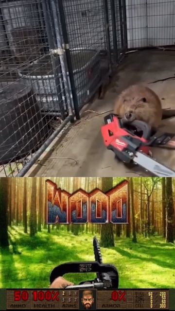 Бобр и бензопила | The DooM Beaver #бобр #beaver #doom #fun #funnyvideo #тренд #trend #shorts