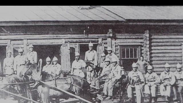 Пожарные России