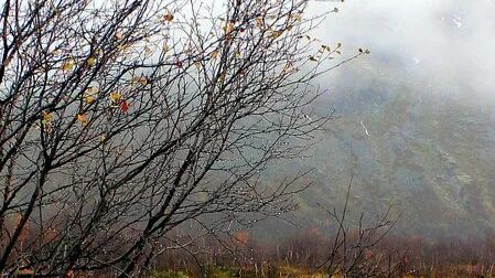 Запоздалый влог за конец октября