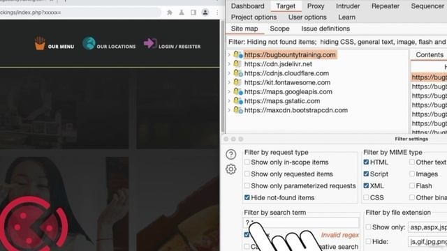 11. Discovering Hidden Endpoints Using Regex