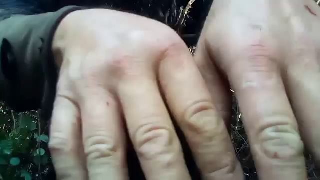 Η ΖΩΗ ΘΕΛΕΙ ΥΠΟΜΟΝΗ