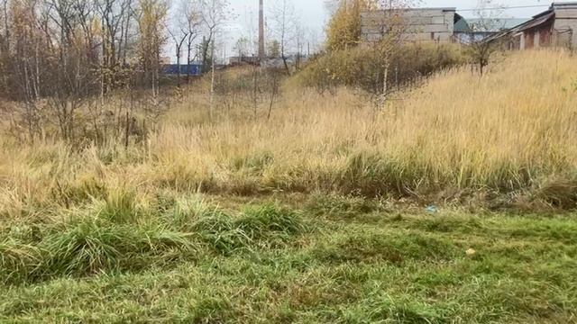 Предоставление в аренду земельного участка