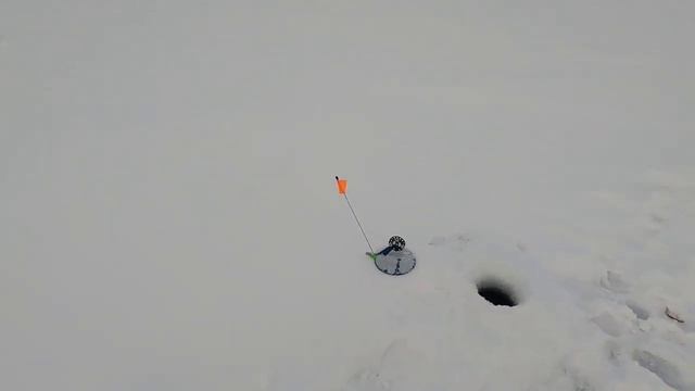 Рыбалка на жерлицы /Отличный клёв щуки