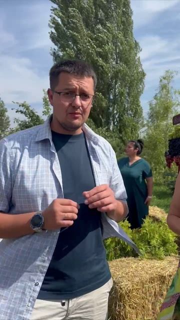 Топ сортов винограда, зимующих без укрытия в мо