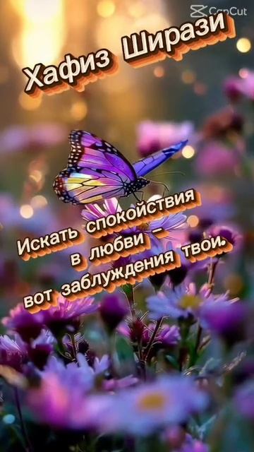 Хафиз Ширази "Искать спокойствия..."