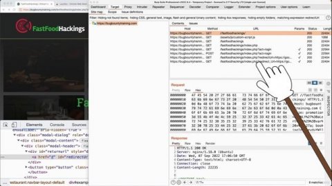13. Discovering Bugs in Hidden Elements