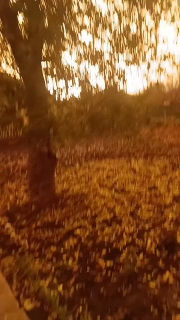 В Дурке ночью тепло и светло!