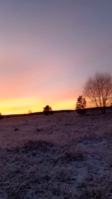 Хорошее утро! 😍