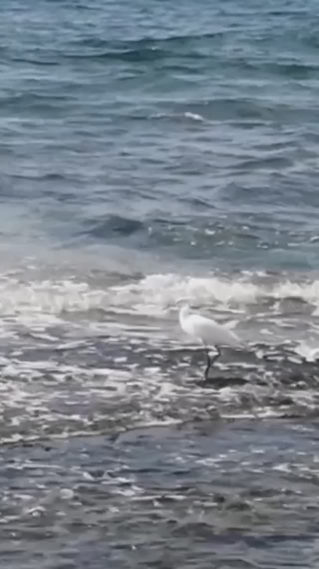 18 ноября НА МОРЕ. ТУРЦИЯ 2025. #türkiye2025 #alanya #mahmutlar