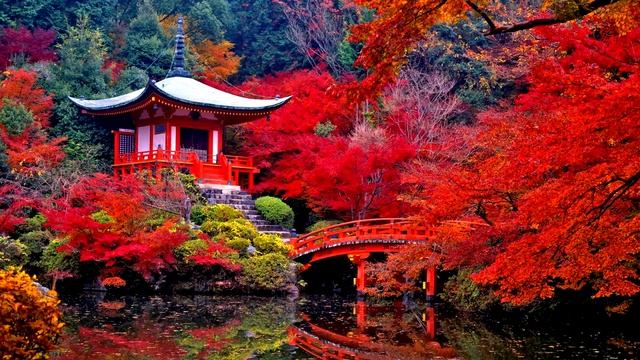 Красивая Музыка для сна, расслабления, снятия стресса и медитации дзен релакс