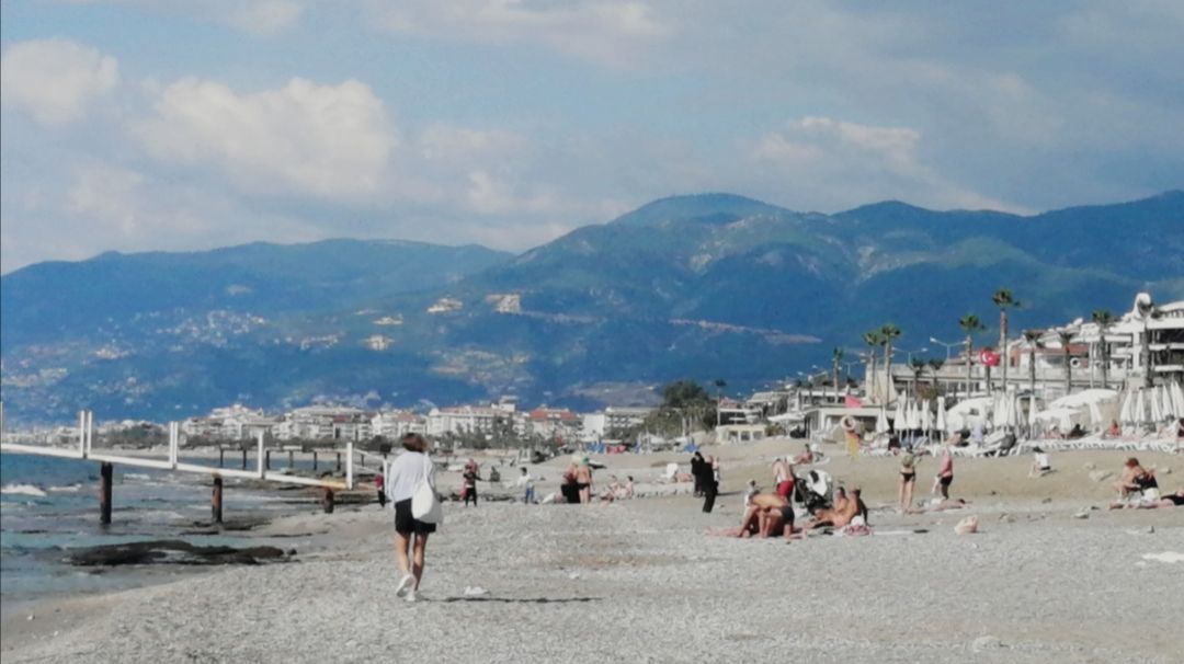 18 ноября БЕРЕГ МАХМУТЛАРА. ДЕЛЬФИНЫ У БЕРЕГА. ТУРЦИЯ 2025. #türkiye2025 #alanya #mahmutlar