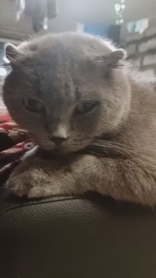 Ксении лайк подписка.