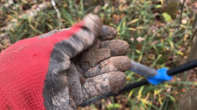 Накопался от души в лесу. Нашел разные монеты