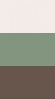 Безупречное сочетание цветов🎨