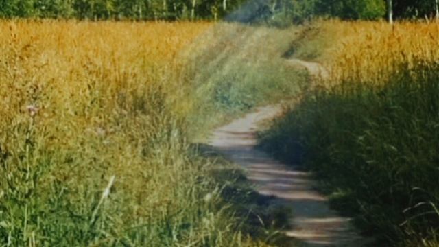 Пою Заплутало счастье заплутало Автор стихи Мэри Сказ