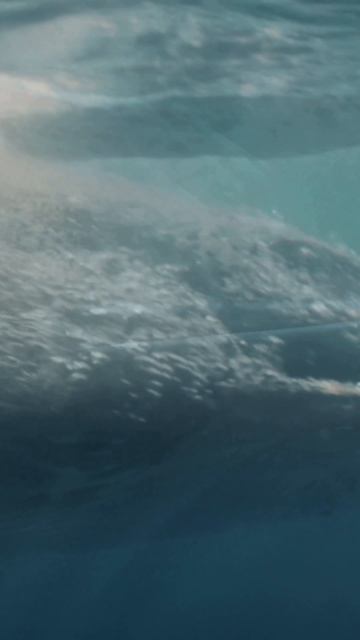 Что меня ждёт🔥Моана #Moana #кино #shorts