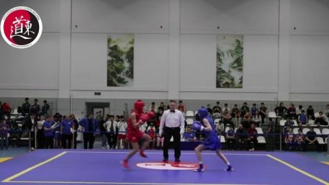 IX Международный турнир по ушу "Московские зведы ушу", 2024. Фрагменты поединков ушу-саньда. Часть 8