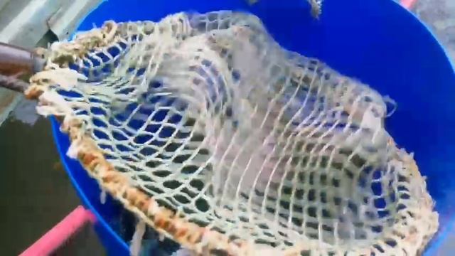 запуск прием новой партии